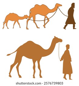 set of camel animal illustrations in the desert (8)