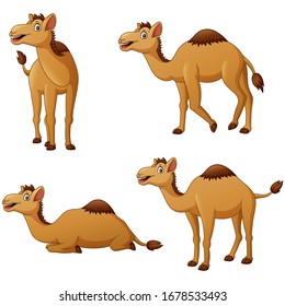 Set of camel cartoon character. Vector illustration