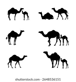 Set of  camel icons in tribal and oriental style. Features desert camels with accessories, inspired by African and Arabian themes.
