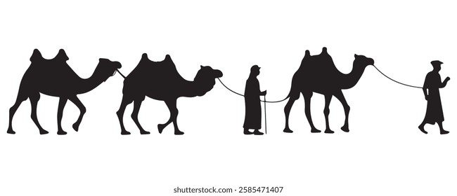 Set of Camel Illustrations on White Background