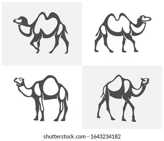 
Set of Camel logo vector, Animal graphic, Camel design Template illustration