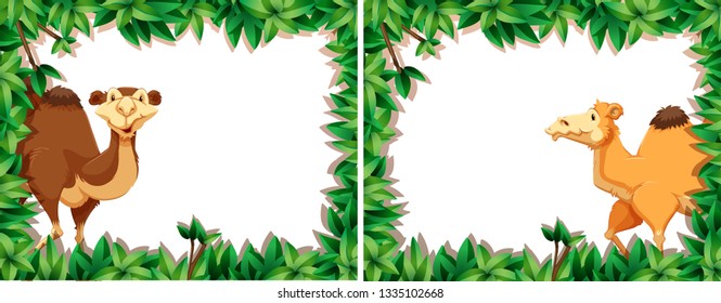 Set of camel in nature frame illustration