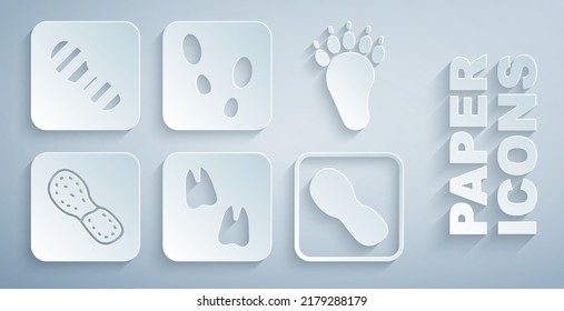 Set Camel paw footprint, Bear, Human footprints shoes,  and  icon. Vector