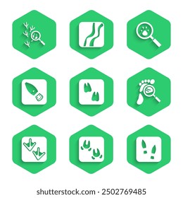 Set Camel paw footprint, Wild boar, Human footprints shoes, Magnifying glass with footsteps, Goose, Paw search and Bird icon. Vector