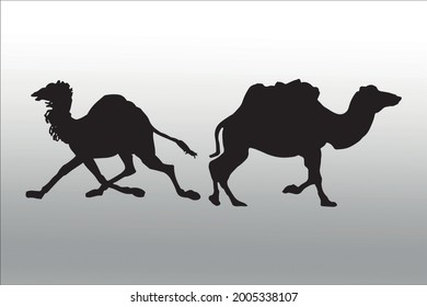 set of camel silhouette line  isolated or logo isolated sign symbol vector, outline and stroke style Collection of high-quality black style vector illustration