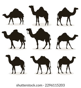 Definir ilustración vectorial de silueta de camello