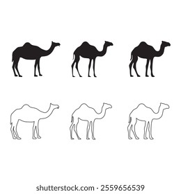 Set of Camel Silhouettes and Outline Illustrations in Black and White
