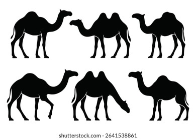Set of Camel Silhouettes Vector in Various Poses Black on White