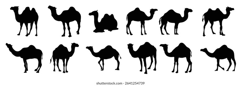 Set of camel vector illustration