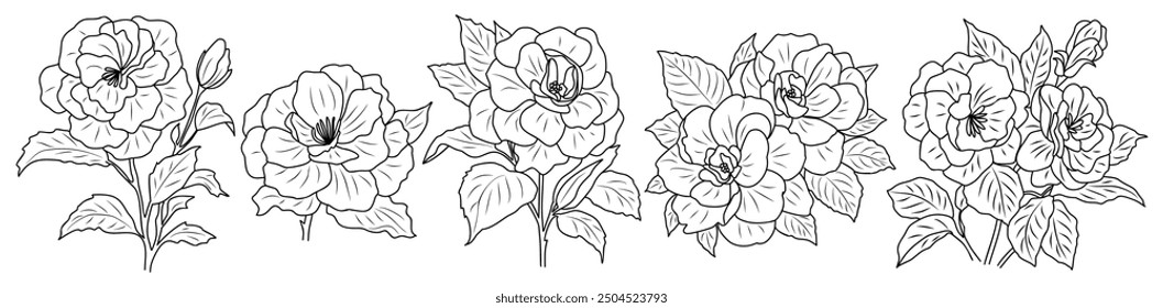 Set of Camelia flower line art drawing. Hand drawn black ink sketch. Modern design for tattoo, wedding invitation, logo, cards, packaging. Vector outline illustration on white background.