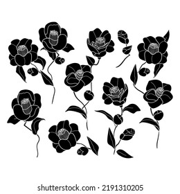 Set of Camellia black silhouette flower branch. Cute hand drawn flower vector illustration in white outline and black plane on white background. Botany line art illustration