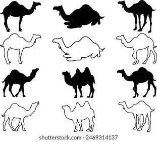 Conjunto de Elementos de diseños de logotipos de marca Camels desert. Iconos gráficos planos con stock editable. Camellos símbolos del desierto. Vectores Camel Silhouettes. Señales negras aisladas sobre fondo transparente.