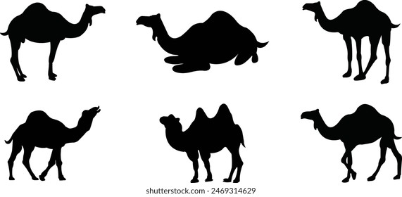 Conjunto de Elementos de diseños de logotipos de marca Camels desert. Iconos gráficos de relleno de camellos. Camellos símbolos del desierto. Ilustración de Vectores de siluetas de camello. Señales negras aisladas sobre fondo transparente.