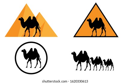 a set of camels for logos or icons or background.vector eps.10
