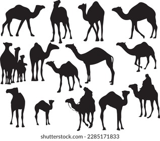 A set of Camels silhouette suitable to be used in designs of art