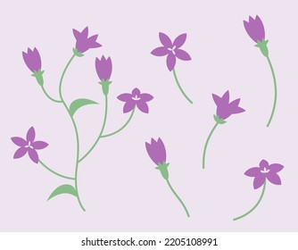 Set of campanula design elements. Wildflowers in flat style.