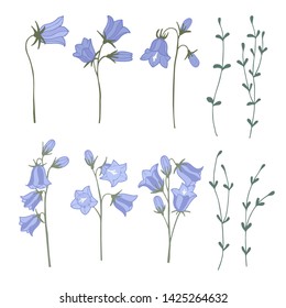 Set of campanula isolated elements. Color doodle vector illustration.