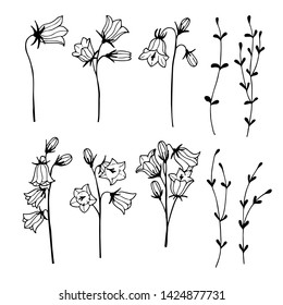 Set of campanula isolated elements. Outline doodle vector illustration.