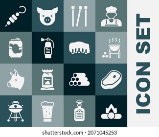 Set Campfire, Steak meat, Barbecue grill, Matches, Fire extinguisher, Soda can, Grilled shish kebab and pork bbq ribs icon. Vector