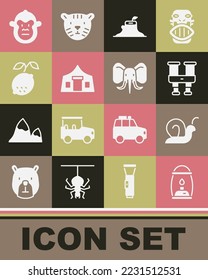 Set Camping lantern, Snail, Binoculars, Tree stump, Tourist tent, Lemon, Monkey and Elephant icon. Vector
