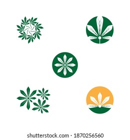 Establecer la naturaleza del símbolo vectorial de la plantilla de logotipo de Canabis