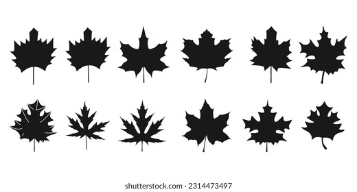 Conjunto de silueta vectorial de hoja de arce canadá Diseño Paquete vectorial SVG Sticker en blanco y negro