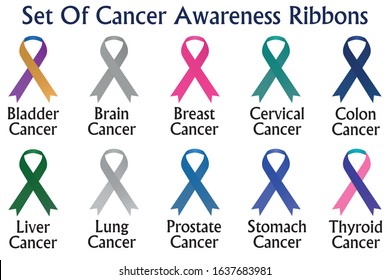 Set of cancer awareness ribbons vector illustration on isolated white background. Bladder, brain, breast, cervical, colon, liver, lung, prostate, stomach, and thyroid cancer awareness ribbons. 
