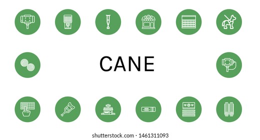 Set of cane icons such as Selfie stick, Chewing gum, Crutch, Candy shop, Sugar, Guide dog, Braille, Gum, Liquorice , cane