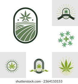 Conjunto del vector de la plantilla de diseño del logotipo de hoja de cannabis. Logotipo de la etiqueta de marihuana de aceite del CBD