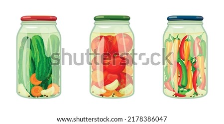 Set canned vegetables in cartoon style. Vector illustration of jar-wrapped tomatoes, cucumbers, chili with garlic and carrots on white background.