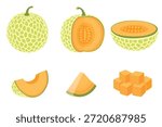 set of Cantaloupe melon, fruit vector illustration 10	