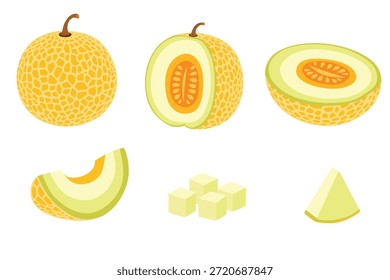 set de melón Cantaloupe, Ilustración vectorial de frutas 10	