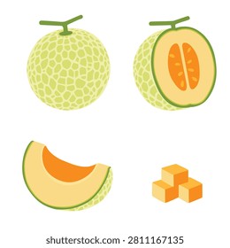 set of Cantaloupe melon, fruit vector illustration 10	