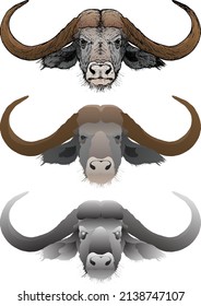 A set of Cape buffalo head with big curve horns isolated against white. Hand drawn vector illustration.