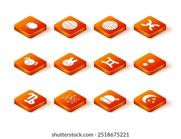Definir o zodíaco de Capricórnio, galáxia espiral da Via Látea, Cão, Coelho, Observatório Astronômico, Gêmeos, Lua e estrelas e ícone Solstício. Vetor