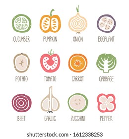 Set of caption vegetable slices icons isolated on transparent background. Colorful vegetables cut in halve. Can be used for infographics or decoration. Vector hand drawn illustration