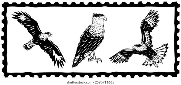 Set of Caracara falcons in various positions. Typical Brazilian bird. Drawing in the style of cordel woodcut. Vector illustration.