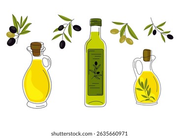 Set of  carafe of olive oil and rosemary. Bottles on white isolated background. Vector illustration