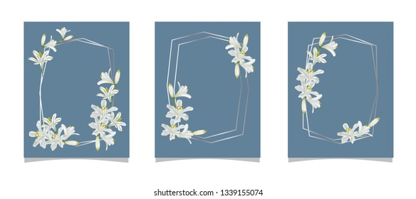 Set of card with agapanthus flower and abstract background-vector