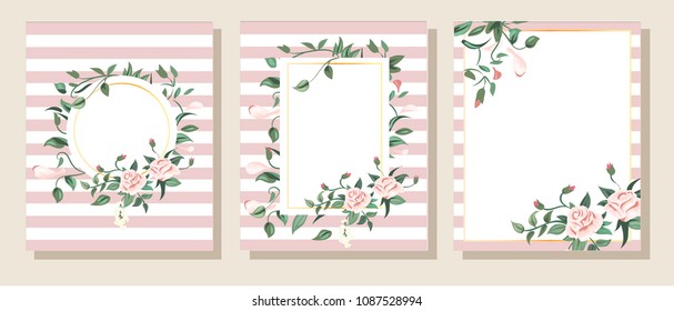Set of card with flower rose, leaves. Wedding ornament concept. Floral poster, invite. Vector decorative greeting card or invitation design background