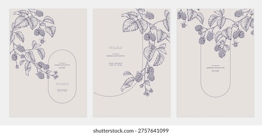 Set of card with hand drawn blackberries or raspberries. Detailed template layout design, brochure or cover for wedding invitation