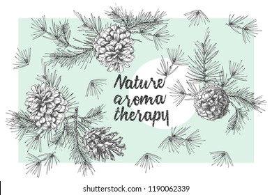 Set card template with pattern realistic botanical ink sketch of fir tree branches with pine cone on white background Good idea for invitations, greeting postcards, label, sticker Vector illustrations
