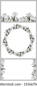 Set of card template with springtime flower. Botanical design. Card, invitation, wedding. White crocus flower