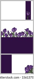 Set of card template with springtime flower. Crocus flower on white