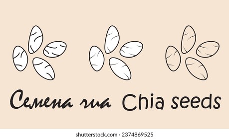 A set of cardamom  objects with the inscription "cardamom" in Russian and English. Simple vector illustration, eps