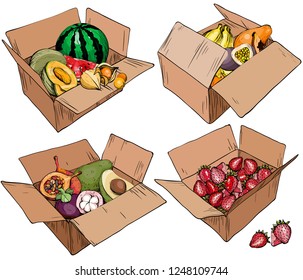 Set of cardboard box with various fruits. Vector illustration