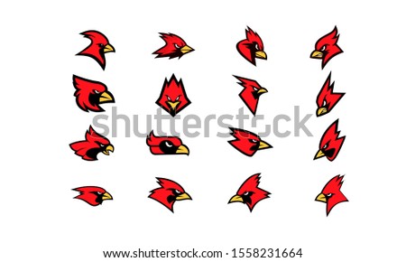 set of cardinal bird. logo icon design vector
