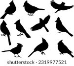 Set of Cardinal Birds Silhouette Vector Art