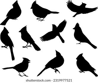 Set of Cardinal Birds Silhouette Vector Art