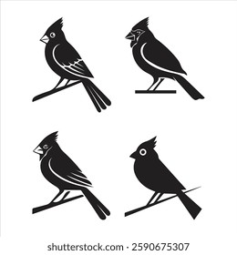 Set of Cardinal Birds Silhouette Vector Art and cardinal bird vector black ,Abstract drawing Vector illustration cardinal on white background and Northern Cardinal Bird
